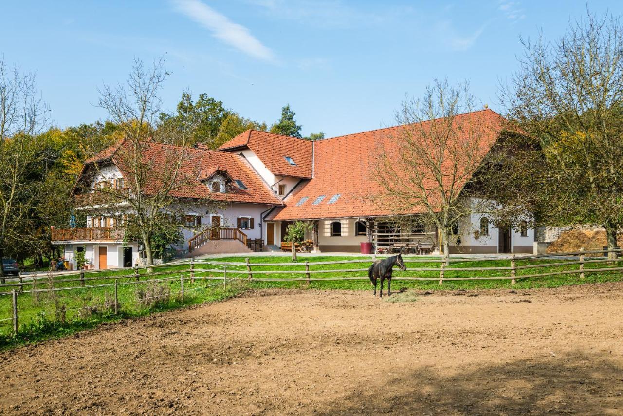 Apartment Zynga - Stud Farm Sentvid Pri Sticni 外观 照片